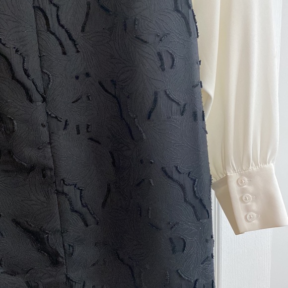 BCBG black dress with white sheer flowy sleeves - Picture 5 of 5